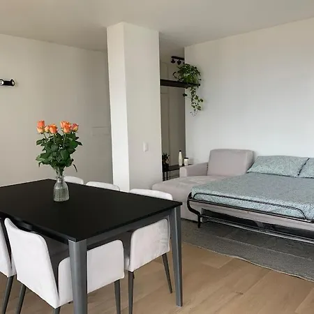 Apartment Live - Via Massagno *