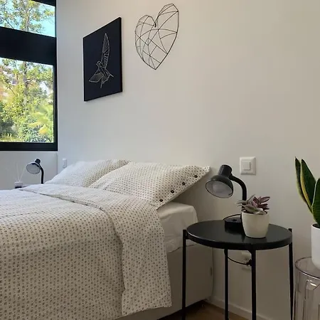 Live - Via Massagno Apartment