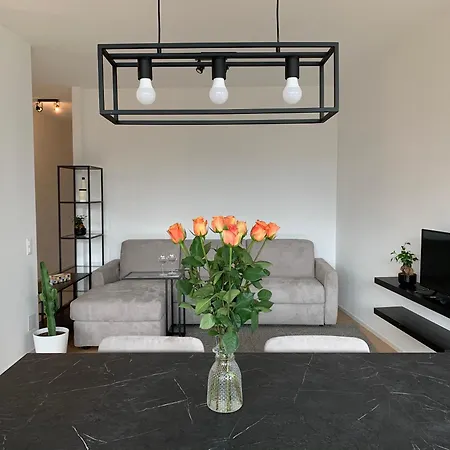 Live - Via Massagno Apartment *