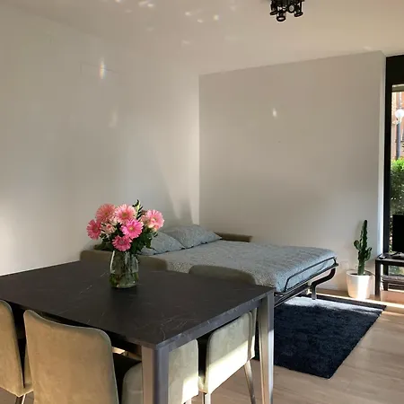 Live - Via Massagno Appartement