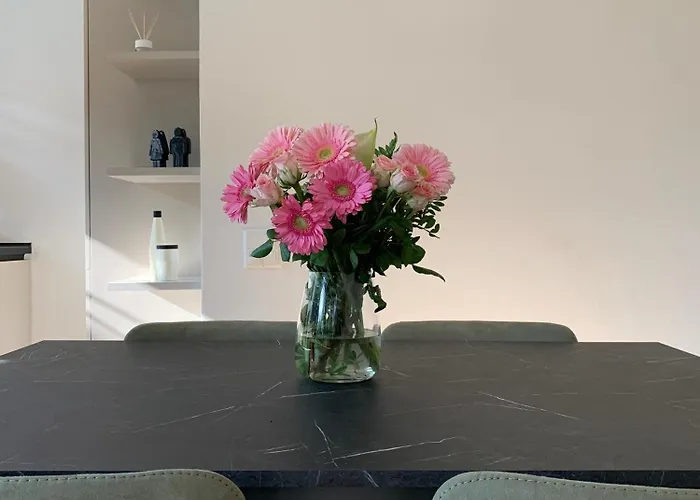 Appartement Live - Via Massagno