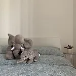 Live - Via Massagno Appartement Lugano